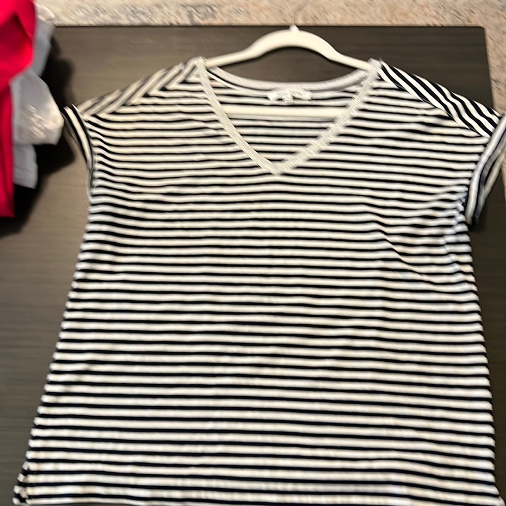 Rose +Olive striped v neck tee with silver detail